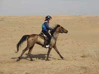 /international/2006Walvisbay/images/Loop2/thumbnails/loop2 052.jpg